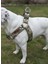 Köpek Göğüs Tasması Orta ve Büyük Irk Ayarlamalı Kolon Kordon Dog Harness Kamuflaj 1