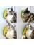 Silikon Kaşıyıcılı Kedi Otu 4