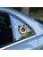 Siamesse Araç Stickerı 1