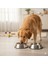 18 cm Kaymaz Tabanlı Kedi Köpek Mama ve Su Kabı – Dayanıklı Hijyenik Metal Mama Kabı 3