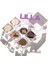 Lılla Vanılla Eye Shadow Palette 4
