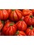 Ithal Antik Domates Tohumu 10 Adet Tohum 2