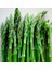 Tarım Ata Tohumu Yerli Kuşkonmaz Tohumu (Asparagus) 40 Adet Tohum 3