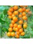 Adet Sun Gold Cherry Domates Tohumu 2