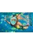 Dalış Maskeleri Çocuklar,snorkel Maskesi, 5-14 Yaşında Çocuklar Için Tam Yüzü Paylama Maskesi Anti-Fog, Anti-Leak Top Snorkel Seti 2