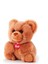 Peluş Fluffy Bear 1