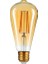Tipi Edison Model Filament Tasarruflu ST64 LED Rustik Dekoratif Ampul Vintage Aydınlatma (1, 6 Watt ST64) 2
