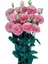 Lisianthus Çiçeği Tohumu (Katmerli, Bodur) Pembe Renkli - 5 Tohum 1