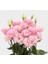 Lisianthus Çiçeği Tohumu (Katmerli, Bodur) Pembe Renkli - 5 Tohum 2