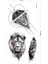 Aslan Dövmesi Unisex Tattoo 2