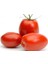 Domates Rio Tohumu - Aksel 10 gr 1