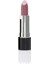Cardin Porcelain Matte Edition Lipstick - Pink Rose -198 3