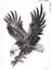 Kartal Dövmesi, Kartal Geçici Dövme Tattoo, Üniseks Dövme, Kol Dövmesi, Omuz Dövmesi, Vücut Dövmesi, Geçici Dövme 2