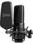 BY-M1000 Stüdyo Mikrofonu, Standart 1
