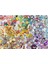 1000P Puzzle Pokemon, Yapboz 2
