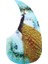 Aksesuarlar Gitar Pickguard Tavuskuşu Desen Kendinden Yapışkanlı Pikap Pickguard Etiket Te Le Halk Akustik Elektro Gitar Ukulele Gitar Gitar Gitar Gitar Gitar Aksesuarları 1