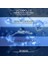 Atocare Duş Yağı 500 ml – Atopiye Eğilimli Bebek Ciltleri Için, Seramid Kompleksli, Omega 3-6, Yulaf Ekstresi ve Prebiyotik Içerikli Temizleyici Yağ 4