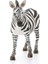Dişi Zebra Oyuncak Figürü 3