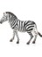 Dişi Zebra Oyuncak Figürü 5