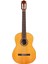 C3M Klasik Gitar 1