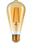 Tipi Edison Model Filament Tasarruflu ST64 LED Rustik Dekoratif Ampul Vintage Aydınlatma (1, 4 Watt ST64) 1