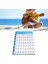 Ukulele Akor Sayfası, Profesyonel Eğitim Ukulele Akor Posteri Ukulele Akor Öğrenme Sayfası Yeni Başlayanlar Oyuncular Için Ukulele Akor Poster Tablosu (S) 2