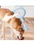 Buğz Kedi ve Köpekler Için Buharlı Masaj Tarağı 2