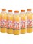 Dondurulmuş Sıkma Portakal Suyu 5 Adet x 950 ml 5