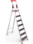 Saraylı Professional Alüminyum Merdiven 6+1 1