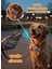 Kedi &amp; Köpek Akıllı Takip Cihazı 3