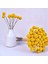 40X Doğal Kurutulmuş Çiçek Sarı Top Buket Bunch Gerçek Taze Hasat Kurutulmuş Bitki Grubu Ev El Sanatları Için Dekorasyon (Yurt Dışından) 4