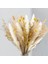 Pampas Çim Dekor 130PCS 17 5 Inç Doğal Kurutulmuş Pampas Bitkileri -Fluffy Kurutulmuş Çiçekler ve Beyaz Pampa (Yurt Dışından) 2