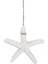 Düğün Dekor Ev Dekor ve Zanaat Projesi Için 30 Adet Kremsi-Beyaz Kalem Parmak Denizyıldızı (Yurt Dışından) 4