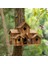 3x Dışarıda Ahşap Kuş Ev (Yurt Dışından) 2