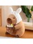 Capybara Peluş Oyuncak Yastığı Sevimli Capybara Dolgulu Hayvan Yumuşak Capybara Plushie Oyuncak Bebek Yastığı Dolgulu Capybara Oyuncak B (Yurt Dışından) 2