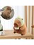 Capybara Peluş Oyuncak Yastığı Sevimli Capybara Dolgulu Hayvan Yumuşak Capybara Plushie Oyuncak Bebek Yastığı Dolgulu Capybara Oyuncak B (Yurt Dışından) 5