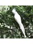 35CM Köpük Tüy Macai Çim Bebek Dekorasyonu Hayvan Kuş Bahçesi Dekopları Dekorasyon Simülasyon Parrot Manuel Parrot (Yurt Dışından) 4