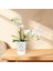 Delikli 3x Orkide Kaplar Repotting Için 4 Inç Seramik Orkide Tencere Çiçek Ekici Tenceresi Açık Nefes Alabilen Beyaz (Yurt Dışından) 5