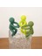 12 Adet Sevimli Bitki Besleyici Dekoratif Bitki Hediye Bitkisi Aksesuarlarını Bitki Yayılma Arkadaşı (Yurt Dışından) 4