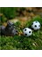 Dollhouse Minyatür Bonsai Zanaat Bahçe Manzara Diy Futbol Dekor 40 Adet (Yurt Dışından) 5