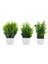 3 Paket Bitkiler Potlar Yapay Okaliptüs Bitki Mini Saksılı Bitkiler Kapalı Küçük Plastik Buğday Çim Çalılar (Yurt Dışından) 2
