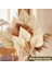 40PCS Boho Kurutulmuş Palmiye Mızrak Yaprakları Küçük Kurutulmuş Gerçek Palmiye Fanları Kuru Kurutulmuş Yaprak Dekor Vazo ile Kurutulmuş Palmiye Yaprakları (Yurt Dışından) 4