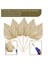 40PCS Boho Kurutulmuş Palmiye Mızrak Yaprakları Küçük Kurutulmuş Gerçek Palmiye Fanları Kuru Kurutulmuş Yaprak Dekor Vazo ile Kurutulmuş Palmiye Yaprakları (Yurt Dışından) 5