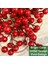 25 Adet 20CM Berry Noel Dekorasyonları Noel Seçiliyor Şubeler Çubukları Dalları (Yurt Dışından) 2