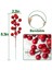 25 Adet 20CM Berry Noel Dekorasyonları Noel Seçiliyor Şubeler Çubukları Dalları (Yurt Dışından) 3