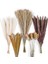 120PCS Kurutulmuş Pampas Çim Buket Dekor Boho Ev Odası Düğün Partisi Düzenlemeleri Sonbahar Kuru Çiçek Demetleri Toplu Uzun (Yurt Dışından) 1
