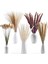 120PCS Kurutulmuş Pampas Çim Buket Dekor Boho Ev Odası Düğün Partisi Düzenlemeleri Sonbahar Kuru Çiçek Demetleri Toplu Uzun (Yurt Dışından) 2