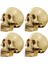 4x Model 1 1 Reçine Insan Kafatası Anatomik Öğretim Dekorasyonu Sarı (Yurt Dışından) 1