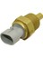 Soğutucu Sıcaklık Sensörü 25037333 TS265 TU169 1T1096 TS10079 537567 Chevrolet Gmc Için WT429 (Yurt Dışından) 3