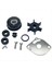 Yamaha 2-Strok 2hp Dışişli Motor Su Pompası Pervane Kiti 6A1-W0078-02-00 (Yurt Dışından) 1